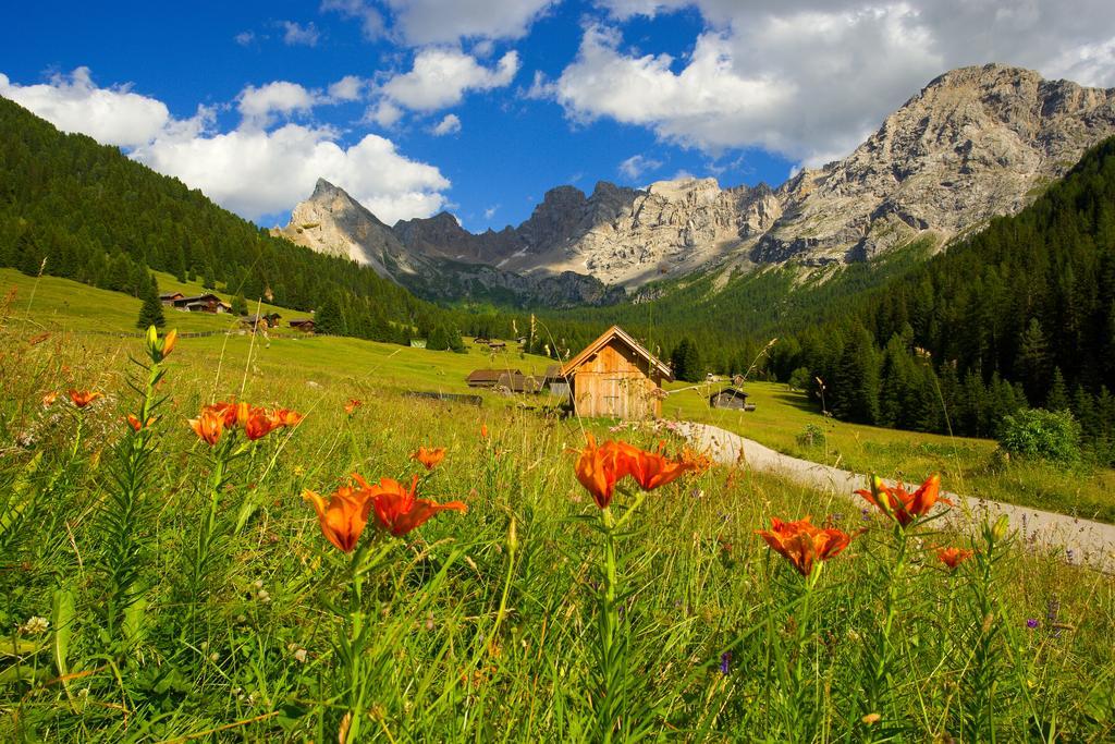 Relais San Giusto Hotel Campitello di Fassa Buitenkant foto
